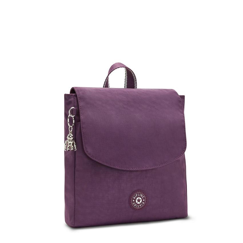 Mochilas Kipling Dannie Morados | MXKi1259C