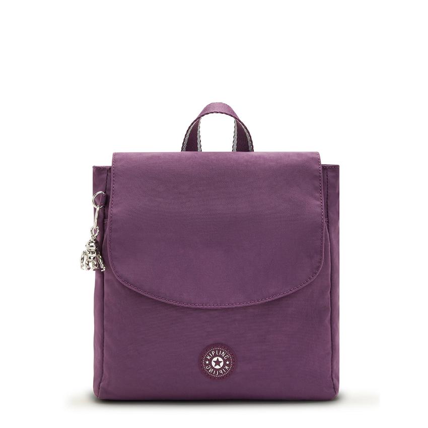 Mochilas Kipling Dannie Morados | MXKi1259C