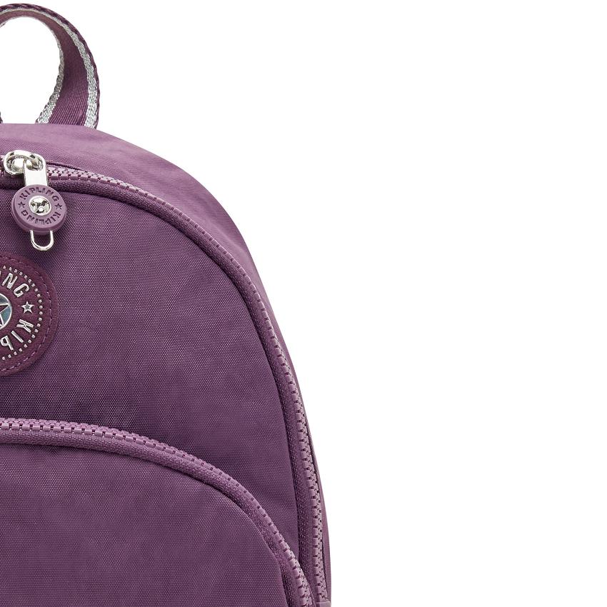 Mochilas Kipling Paola Morados | MXKi1303Q